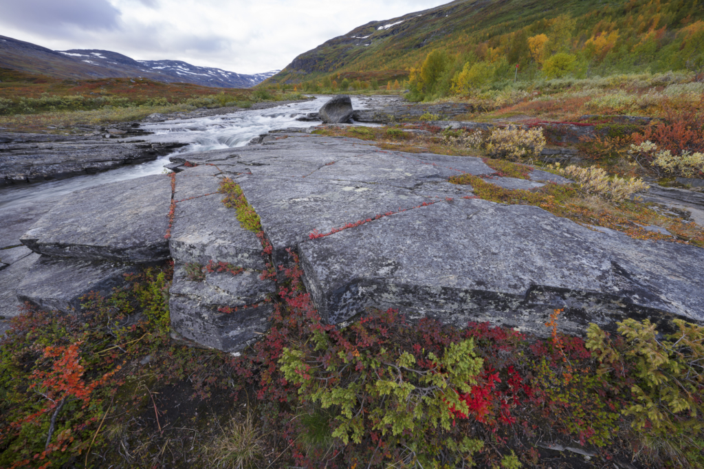 Höst i fjällvärlden - Abisko Nationalpark. Fotoresa med Wild Nature fotoresor. Foto Staffan Widstrand