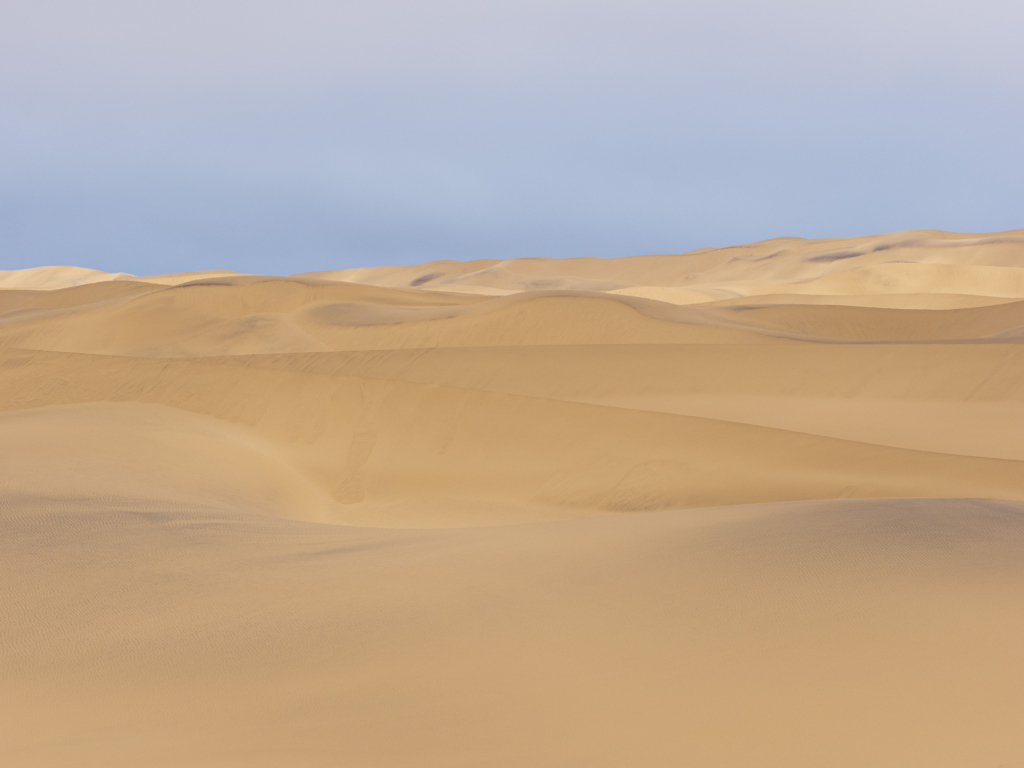 Ökenlandskap, stjärnhimlar och spännande djurliv - Namibia. Fotoresa med Wild Nature fotoresor. Foto: Henrik Karlsson