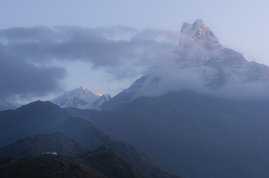 Himalayas lysande rhododendronprakt, Nepal. Fotoresa med Wild Nature fotoresor. Foto Jonathan Stenvall