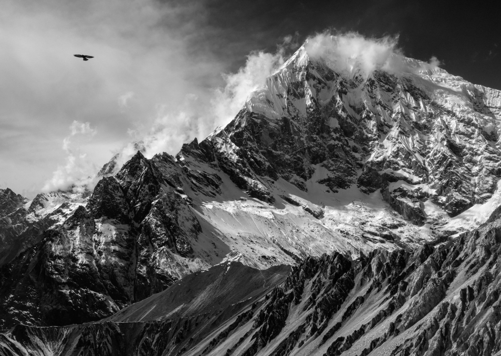 Himalayas lysande rhododendronprakt, Nepal. Fotoresa med Wild Nature fotoresor. Foto Jonathan Stenvall