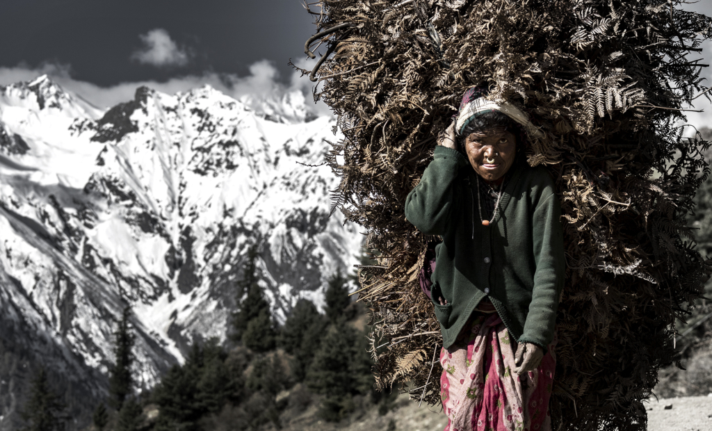 Det gömda Himalaya, Nepal. Fotoresa med Wild Nature fotoresor. Foto Jonathan Stenvall