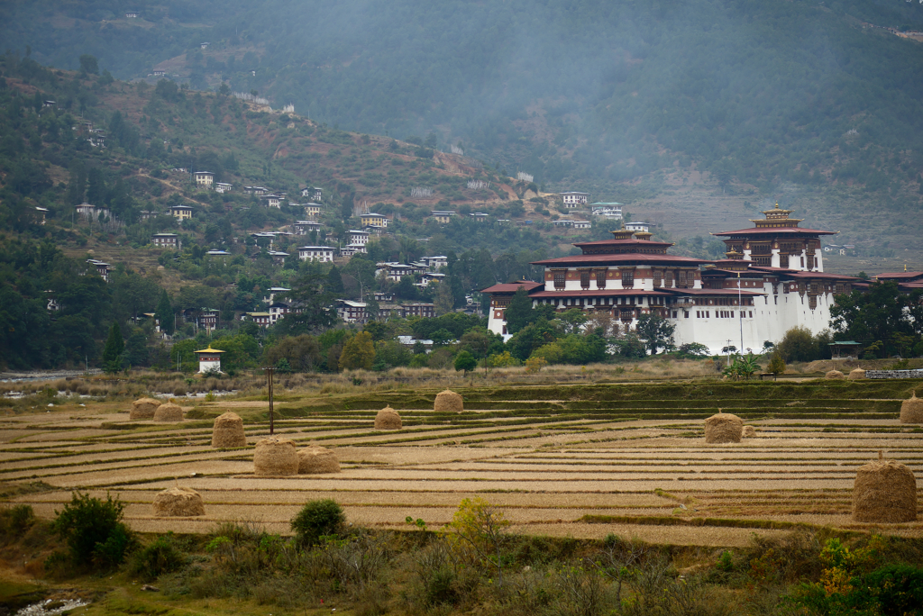 Natur och kultur på världens tak - Bhutan. Fotoresa med Wild Nature fotoresor. Foto: Magnus Martinsson