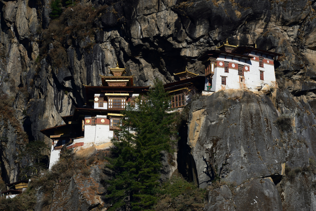 Natur och kultur på världens tak - Bhutan. Fotoresa med Wild Nature fotoresor. Foto: Magnus Martinsson