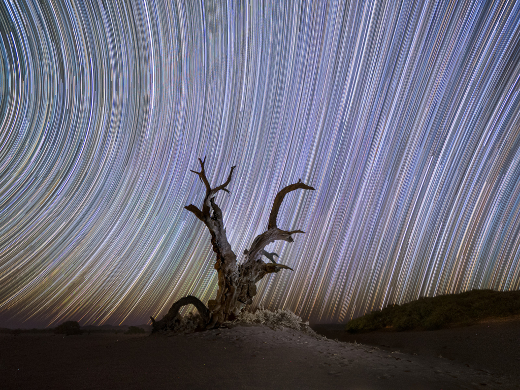 Ökenlandskap, stjärnhimlar och spännande djurliv - Namibia. Fotoresa med Wild Nature fotoresor. Foto: Henrik Karlsson
Oryx, Quiver tree, Milky Way, star trail, star photography, vintergatan, photo tour