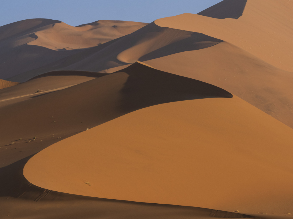 Ökenlandskap, stjärnhimlar och spännande djurliv - Namibia. Fotoresa med Wild Nature fotoresor. Foto: Henrik Karlsson