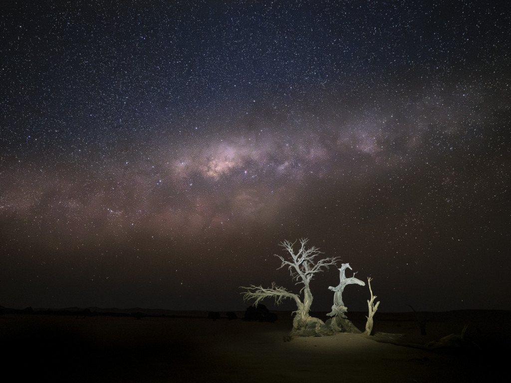 Ökenlandskap, stjärnhimlar och spännande djurliv - Namibia. Fotoresa med Wild Nature fotoresor. Foto: Henrik Karlsson