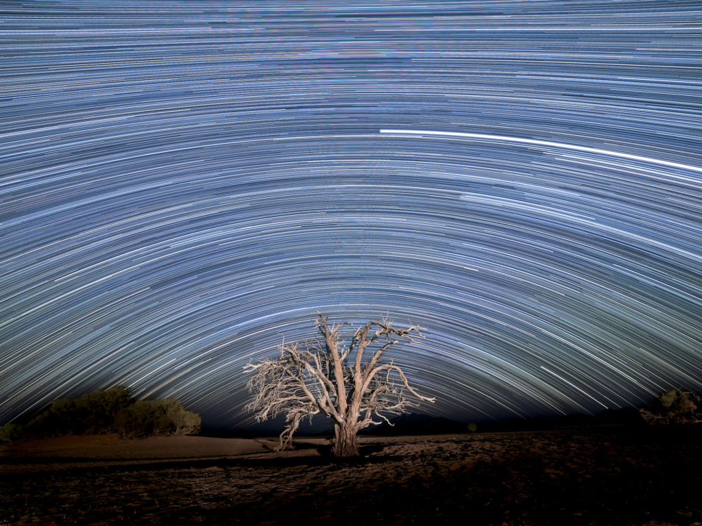 Ökenlandskap, stjärnhimlar och spännande djurliv - Namibia. Fotoresa med Wild Nature fotoresor. Foto: Henrik Karlsson