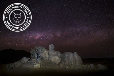 Desert landscapes, starry skies and exciting wildlife - Namibia . Photo tour with Wild Nature Photo Adventures. Photo by Henrik Karlsson