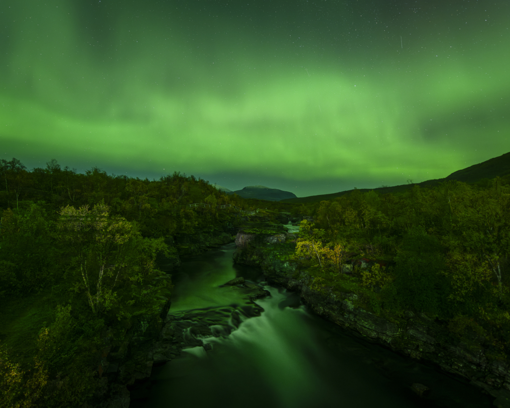 Höst i fjällvärlden - Abisko Nationalpark. Fotoresa med Wild Nature fotoresor. Foto Frida Hermansson