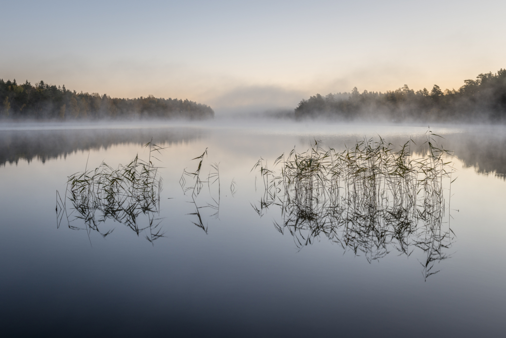 Kreativ fotohelg med guldkant, Grisslehamn Roslagen. Fotoresa med Wild Nature Fotoresor. Foto: Frida Hermansson