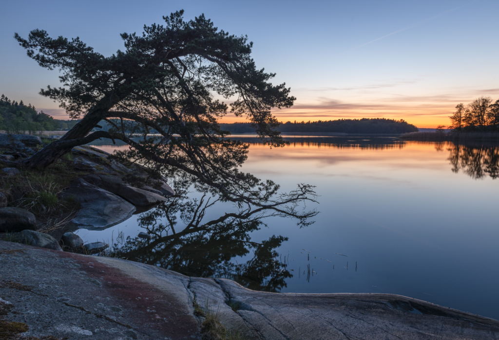 Kreativ fotohelg med guldkant, Grisslehamn Roslagen. Fotoresa med Wild Nature Fotoresor. Foto: Frida Hermansson