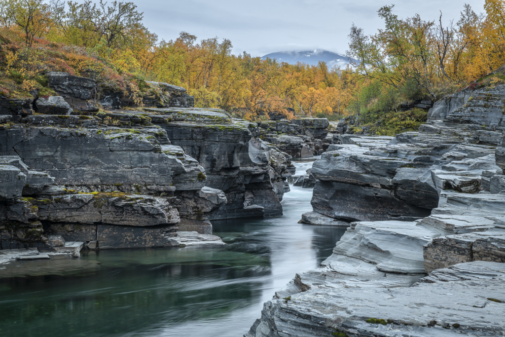 Höst i fjällvärlden - Abisko Nationalpark. Fotoresa med Wild Nature fotoresor. Foto Frida Hermansson