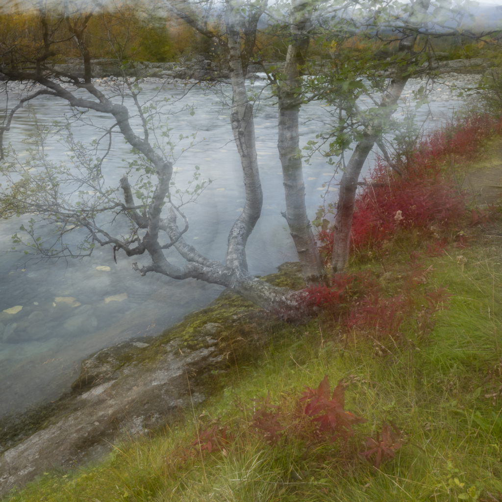 Höst i fjällvärlden - Abisko Nationalpark. Fotoresa med Wild Nature fotoresor. Foto Frida Hermansson