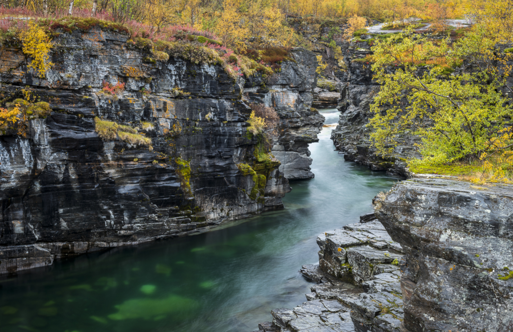 Höst i fjällvärlden - Abisko Nationalpark. Fotoresa med Wild Nature fotoresor. Foto Frida Hermansson