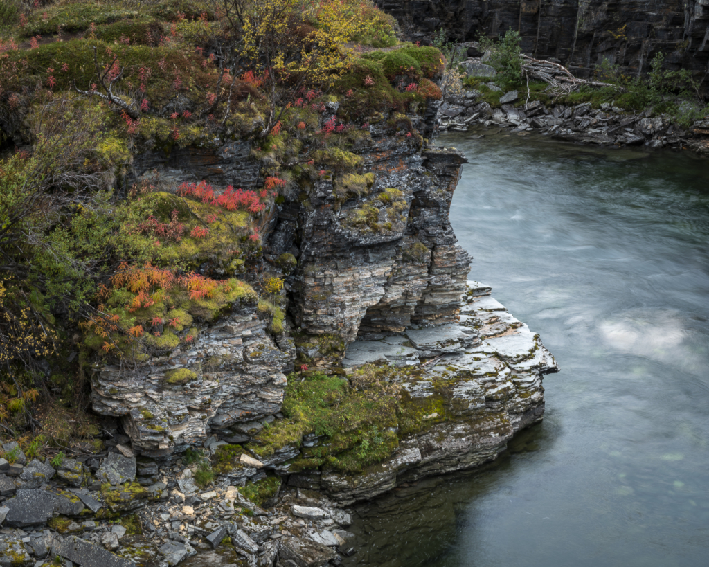 Höst i fjällvärlden - Abisko Nationalpark. Fotoresa med Wild Nature fotoresor. Foto Frida Hermansson