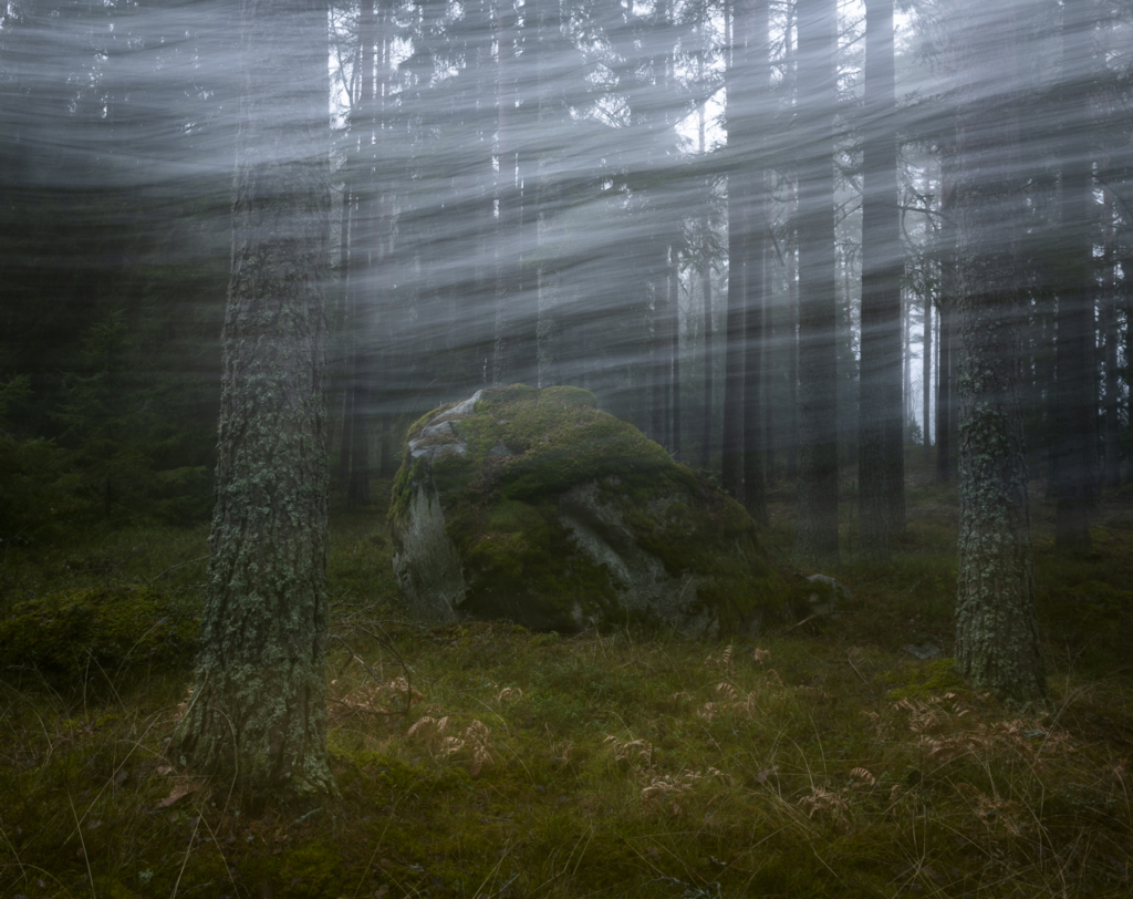 Kreativ fotohelg med guldkant, Grisslehamn Roslagen. Fotoresa med Wild Nature Fotoresor. Foto: Frida Hermansson