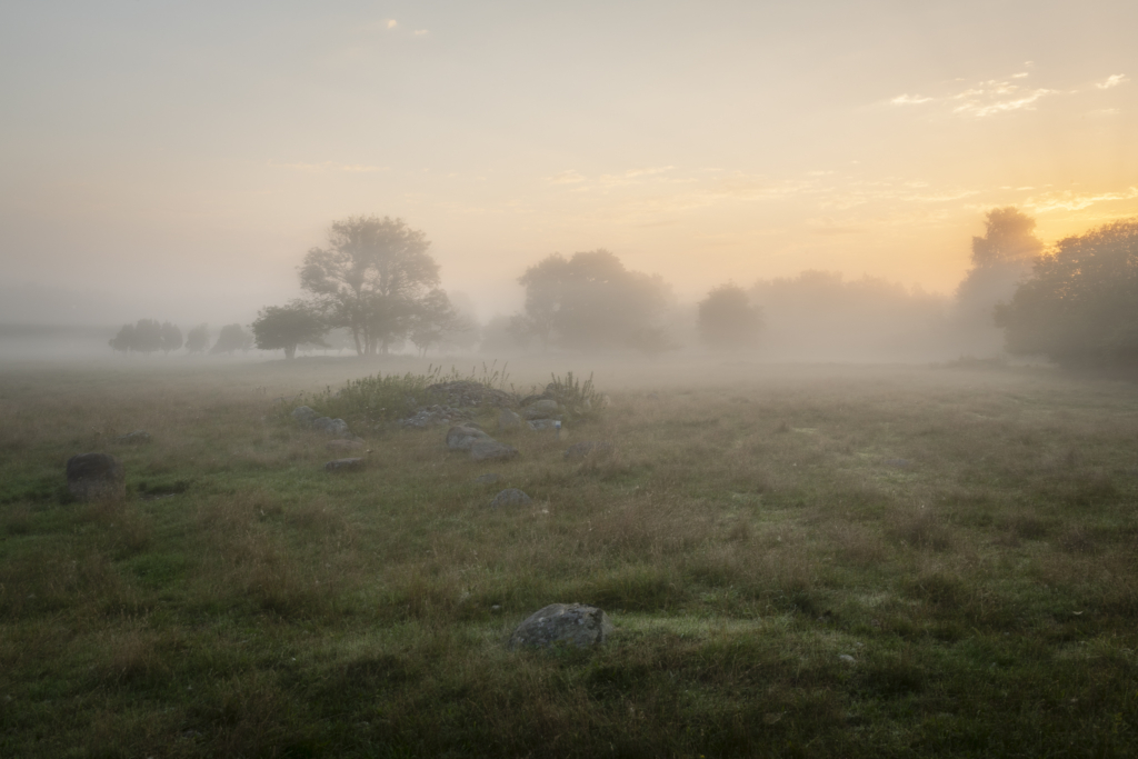 Kreativ fotohelg med guldkant, Grisslehamn Roslagen. Fotoresa med Wild Nature Fotoresor. Foto: Frida Hermansson