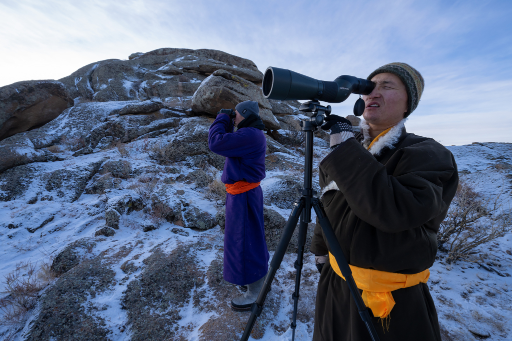 Expedition vilda hästar och vilda katter, Mongoliet. Fotoresa med Wild Nature fotoresor. Foto Magnus Martinsson
snöleopard, snow leopard, Pallaskatt, Pallas cat, Przewalskis häst, Przewalskis horse, wolf, varg, Mongolia, Photo tour