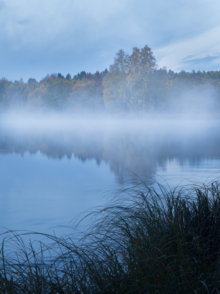 Stora och små landskap vid nedre dalälven, Färnebofjärdens nationalpark. Fotoresa med Wild Nature fotoresor. Foto Jonathan Stenvall