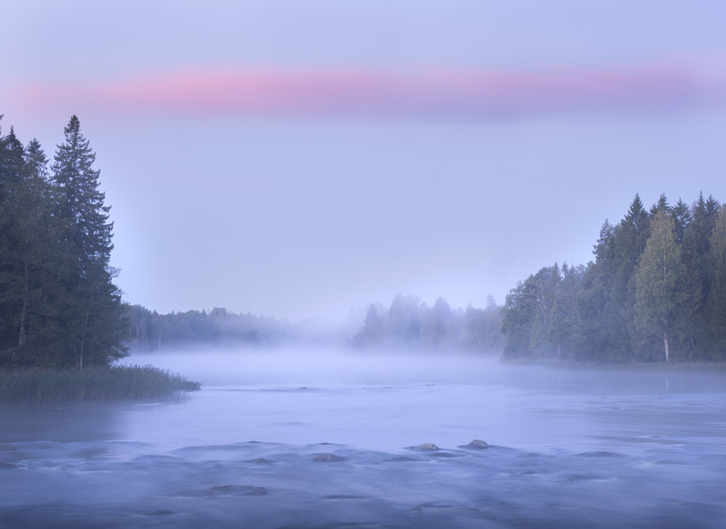 Stora och små landskap vid nedre dalälven, Färnebofjärdens nationalpark. Fotoresa med Wild Nature fotoresor. Foto Jonathan Stenvall