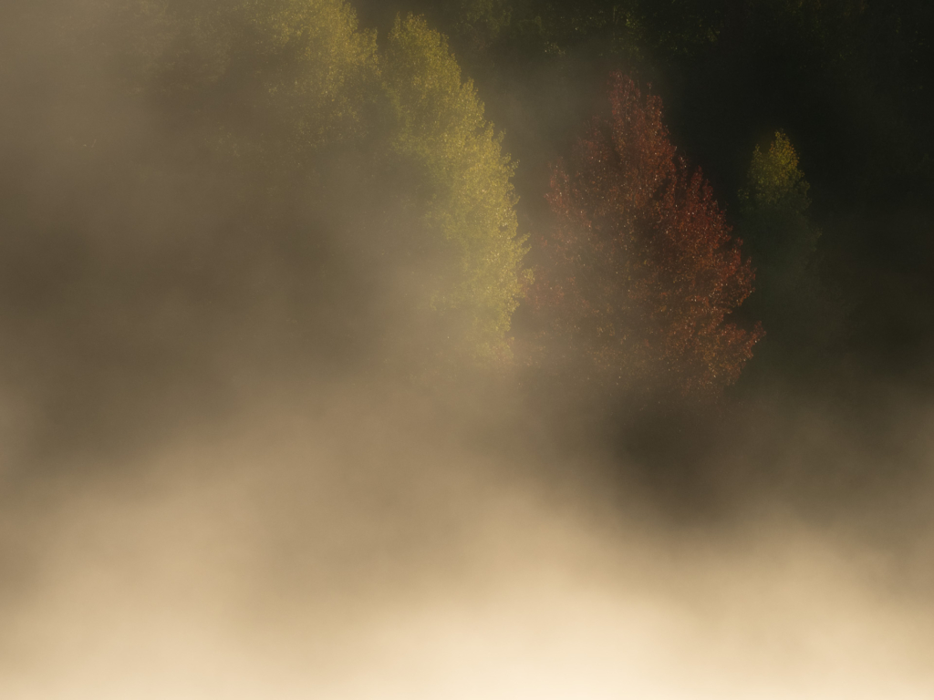 Stora och små landskap vid nedre dalälven, Färnebofjärdens nationalpark. Fotoresa med Wild Nature fotoresor. Foto Jonathan Stenvall