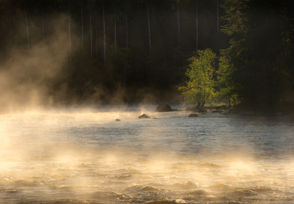 Stora och små landskap vid nedre dalälven, Färnebofjärdens nationalpark. Fotoresa med Wild Nature fotoresor. Foto Jonathan Stenvall