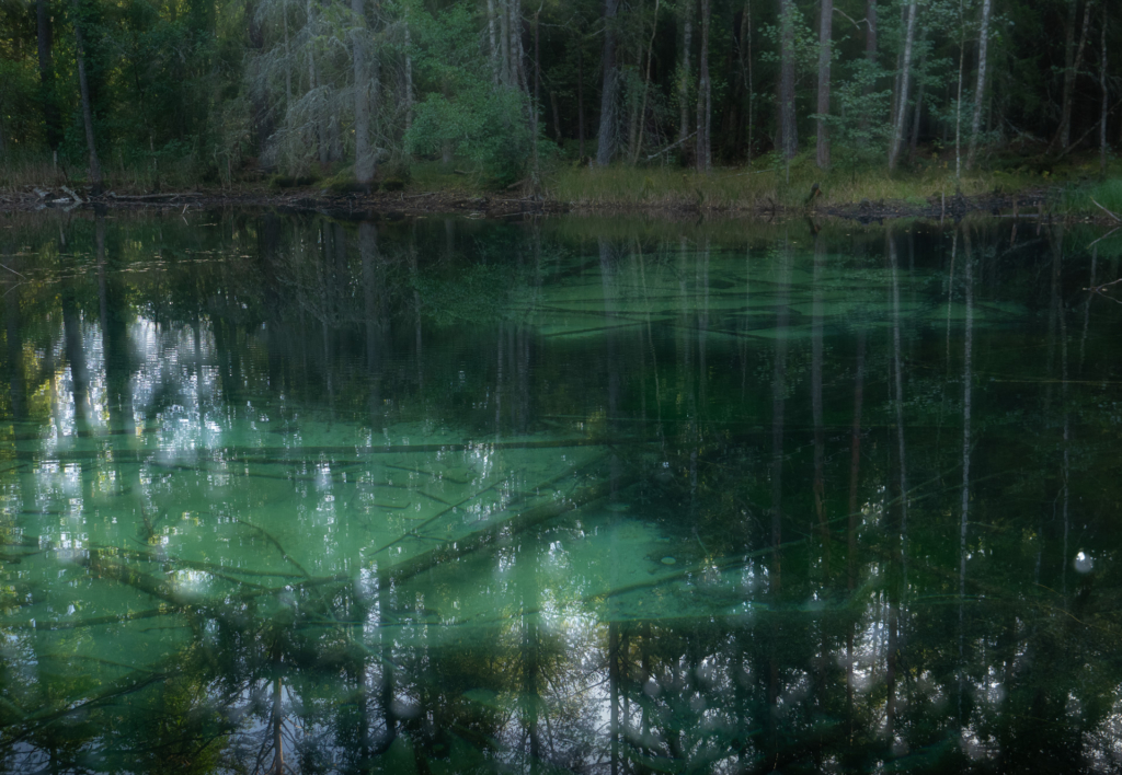 Stora och små landskap vid nedre dalälven, Färnebofjärdens nationalpark. Fotoresa med Wild Nature fotoresor. Foto Jonathan Stenvall