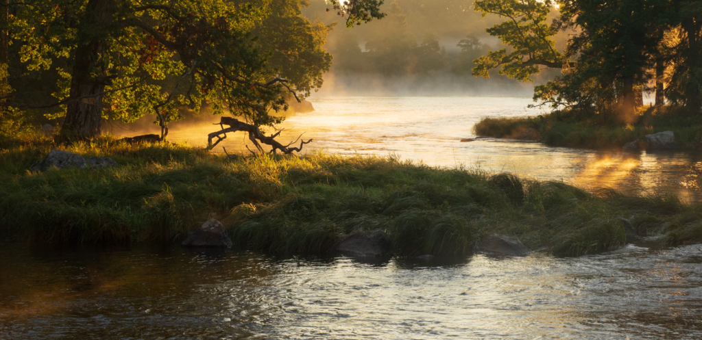 Stora och små landskap vid nedre dalälven, Färnebofjärdens nationalpark. Fotoresa med Wild Nature fotoresor. Foto Jonathan Stenvall