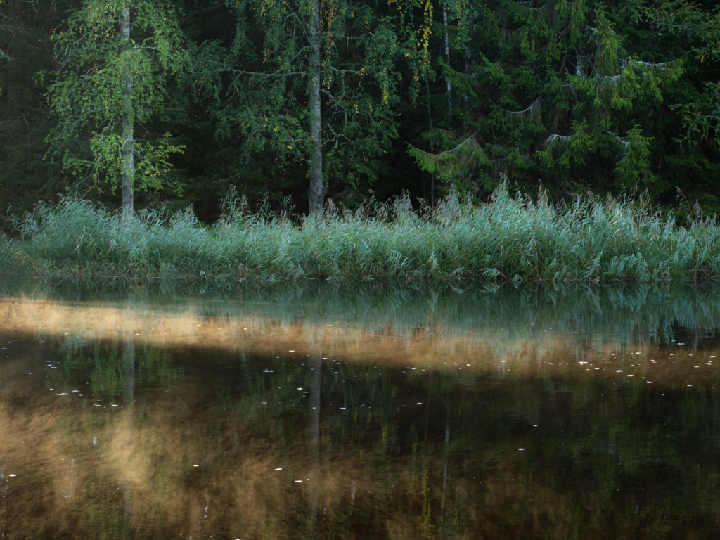 Stora och små landskap vid nedre dalälven, Färnebofjärdens nationalpark. Fotoresa med Wild Nature fotoresor. Foto Jonathan Stenvall