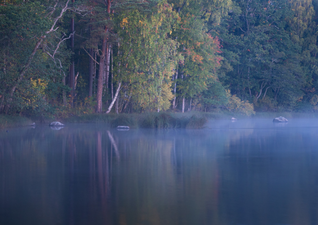 Stora och små landskap vid nedre dalälven, Färnebofjärdens nationalpark. Fotoresa med Wild Nature fotoresor. Foto Jonathan Stenvall