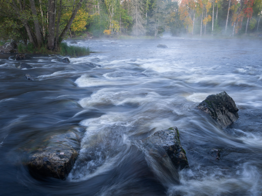 Stora och små landskap vid nedre dalälven, Färnebofjärdens nationalpark. Fotoresa med Wild Nature fotoresor. Foto Jonathan Stenvall