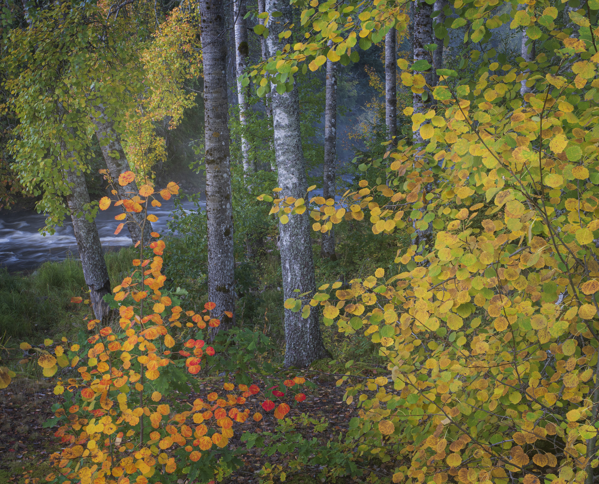 Stora och små landskap vid nedre dalälven, Färnebofjärdens nationalpark. Fotoresa med Wild Nature fotoresor. Foto Jonathan Stenvall