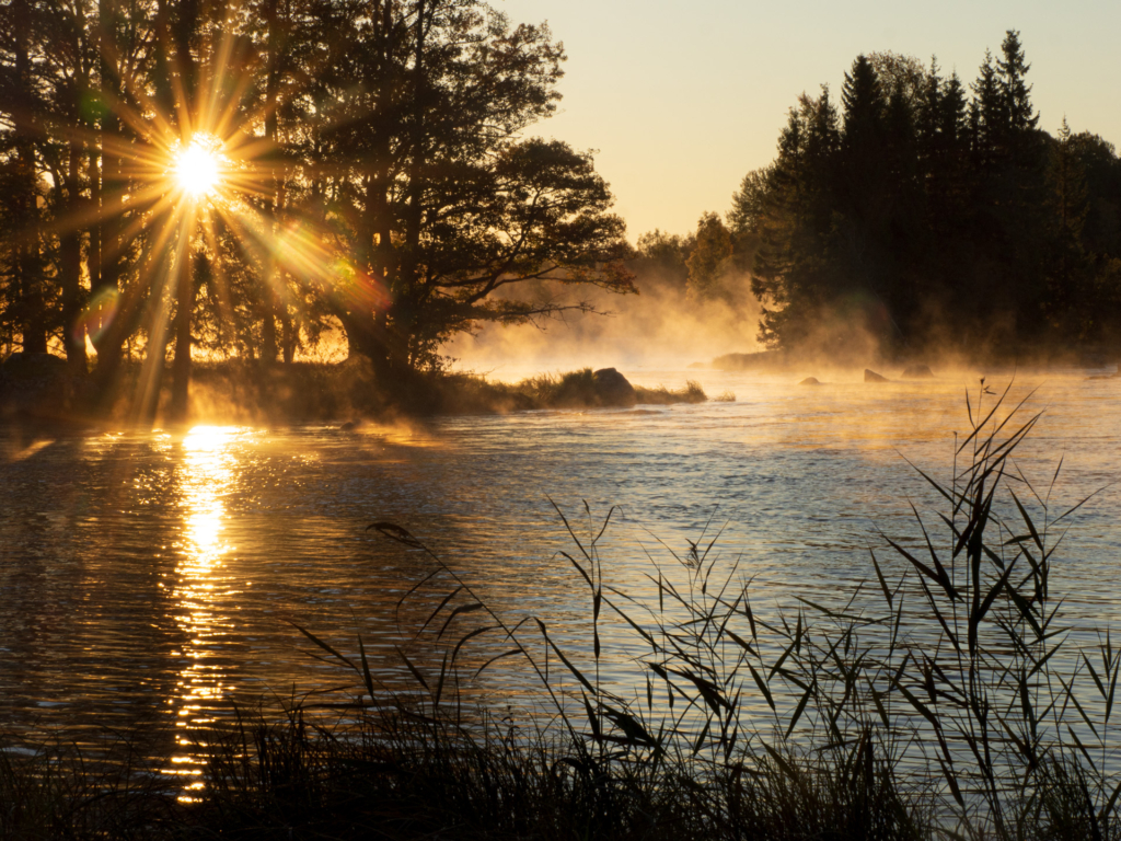 Stora och små landskap vid nedre dalälven, Färnebofjärdens nationalpark. Fotoresa med Wild Nature fotoresor. Foto Jonathan Stenvall