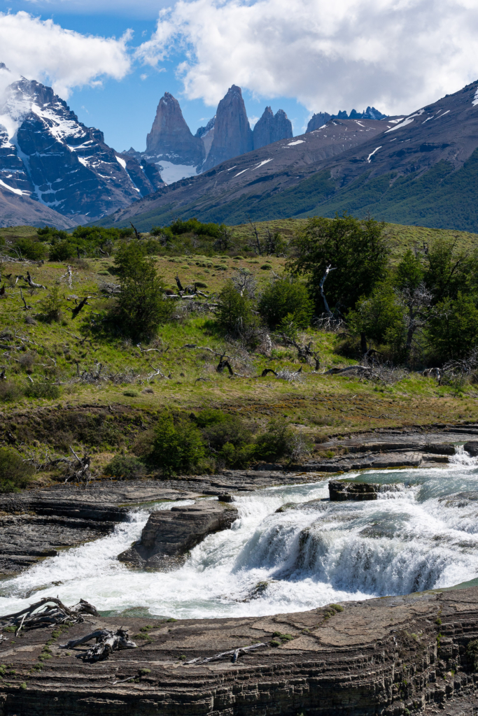 Pumor och kondorer i Patagonien, Chile. Fotoresa med Wild Nature fotoresor. Foto: Floris Smeets
Photo tour Patagonia, Condor, Mountain lion, Puma, Guanaco, Rhea, Torres del Paine