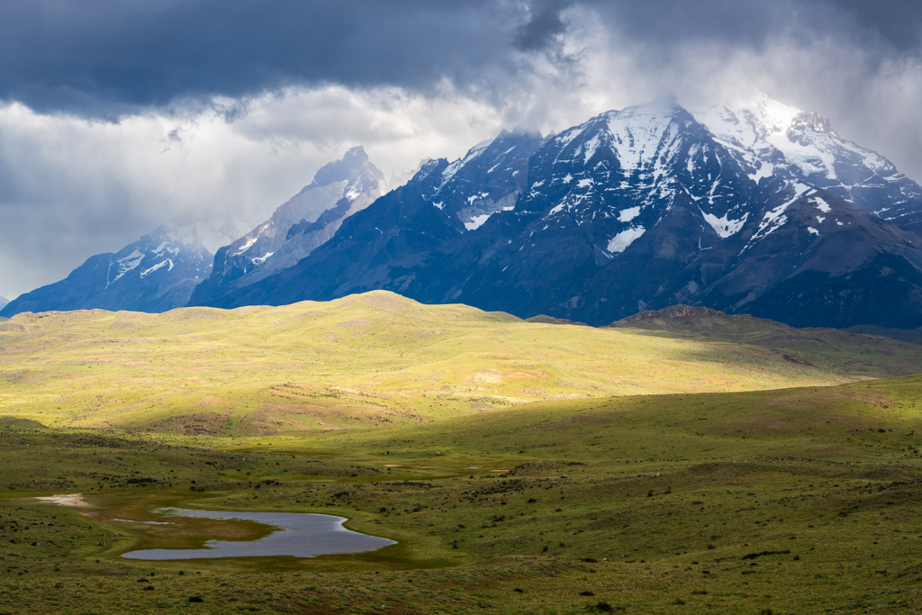 Pumor och kondorer i Patagonien, Chile. Fotoresa med Wild Nature fotoresor. Foto: Floris Smeets
Photo tour Patagonia, Condor, Mountain lion, Puma, Guanaco, Rhea, Torres del Paine