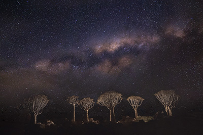 Ökenlandskap, stjärnhimlar och spännande djurliv - Namibia. Fotoresa med Wild Nature fotoresor. Foto: Henrik Karlsson
Desert landscapes, starry skies and exciting wildlife - Namibia . Photo tour with Wild Nature Photo Adventures. Photo by Henrik Karlsson