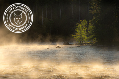 Stora och små landskap vid nedre dalälven, Färnebofjärdens nationalpark. Fotoresa med Wild Nature fotoresor. Foto Jonathan Stenvall